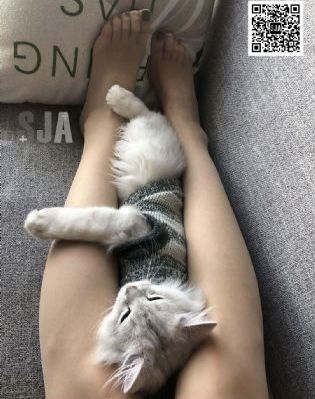 水蜜桃视频在线观看免费_HDBD在线观看